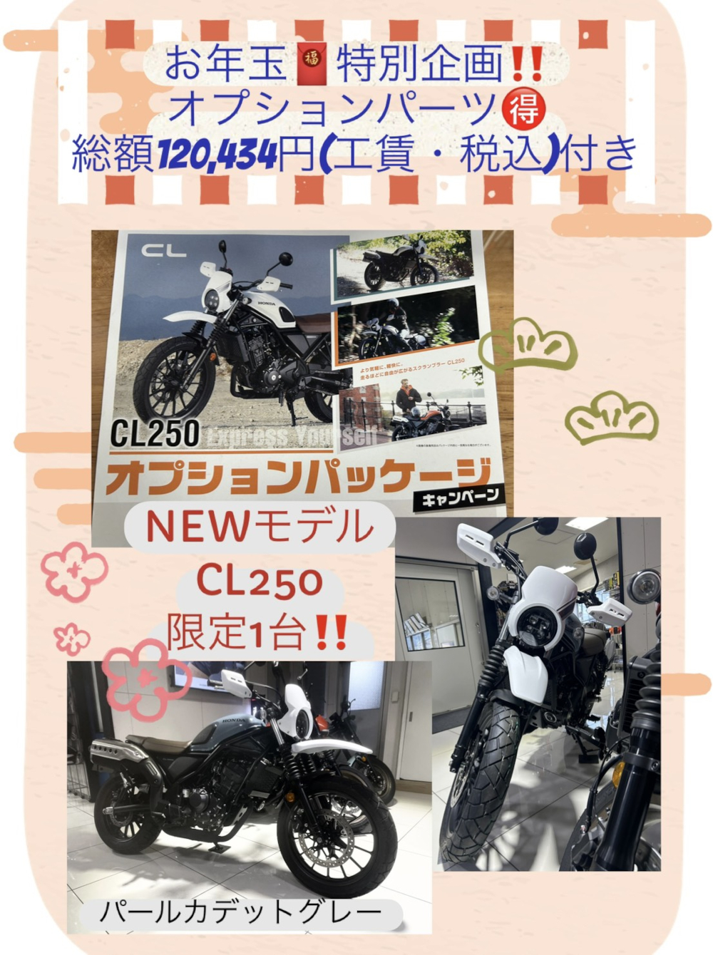 CL250 「オプションパッケージ」プレゼント